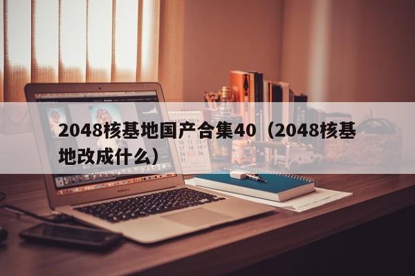 2048核基地国产合集40（2048核基地改成什么）